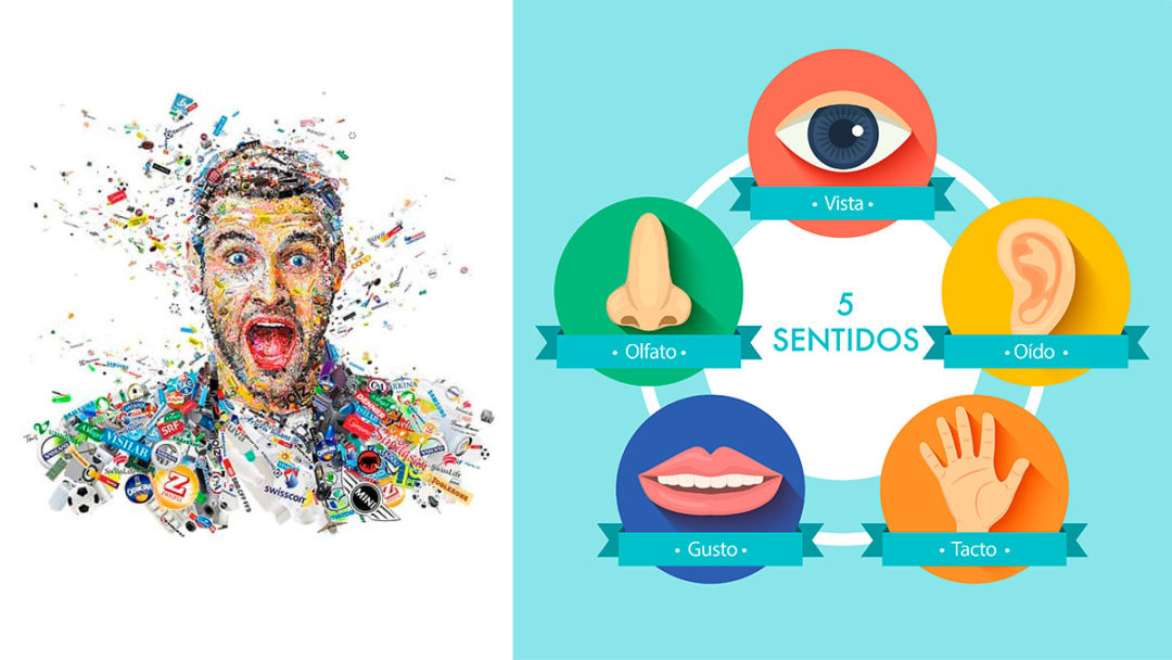 Marketing Sensorial Qu Es Ejemplos Y Definici N